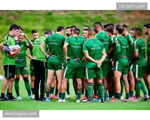 雪缘巴西甲级联赛积分榜最新更新与分析 雪缘巴西甲级联赛积分榜最新更新与分析