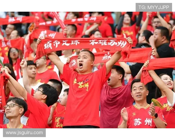 足球赛事中的经济影响与观众流量